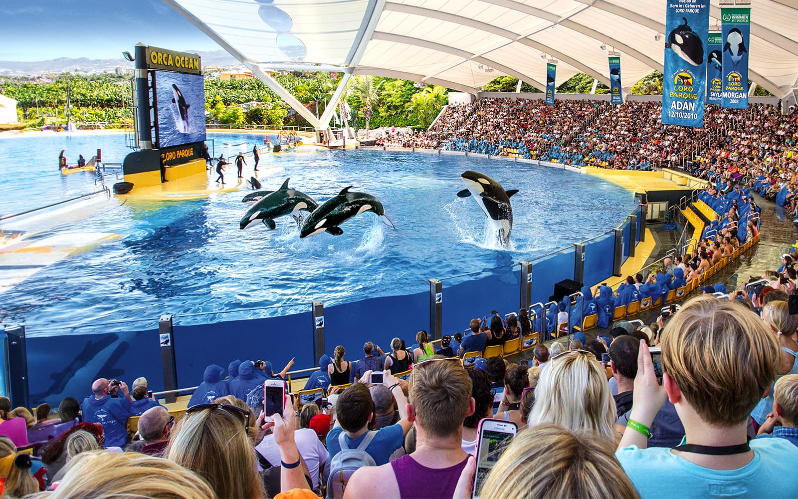 Biglietti per l'ingresso al Loro Parque