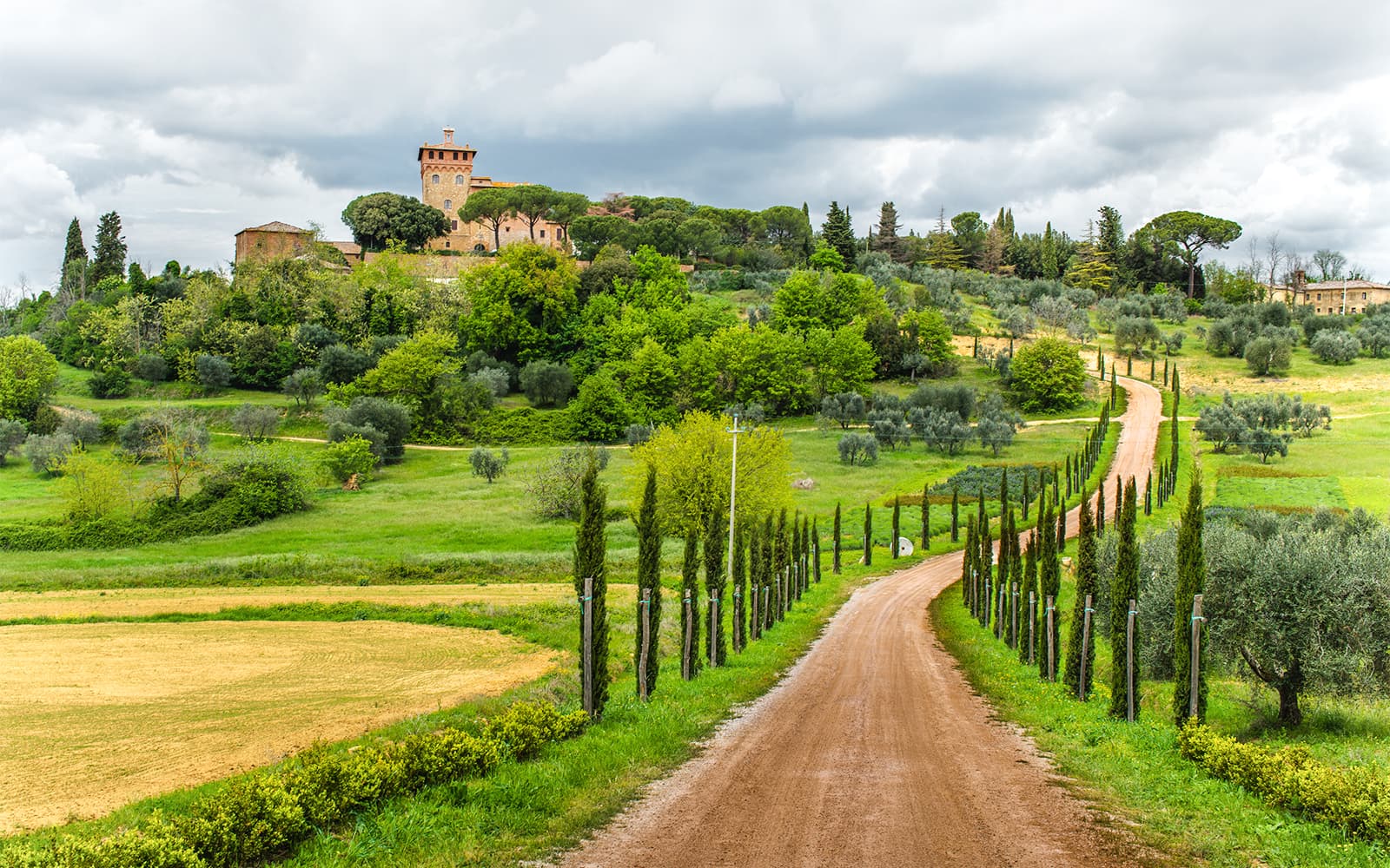 From Florence: Chianti Wineries Tour with Wine Tasting