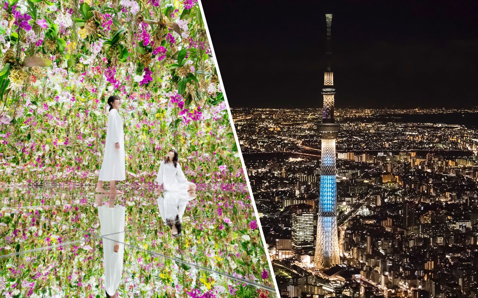 Kombinationsbiljett: teamLab Planets Tokyo + Tokyo Observation Decks