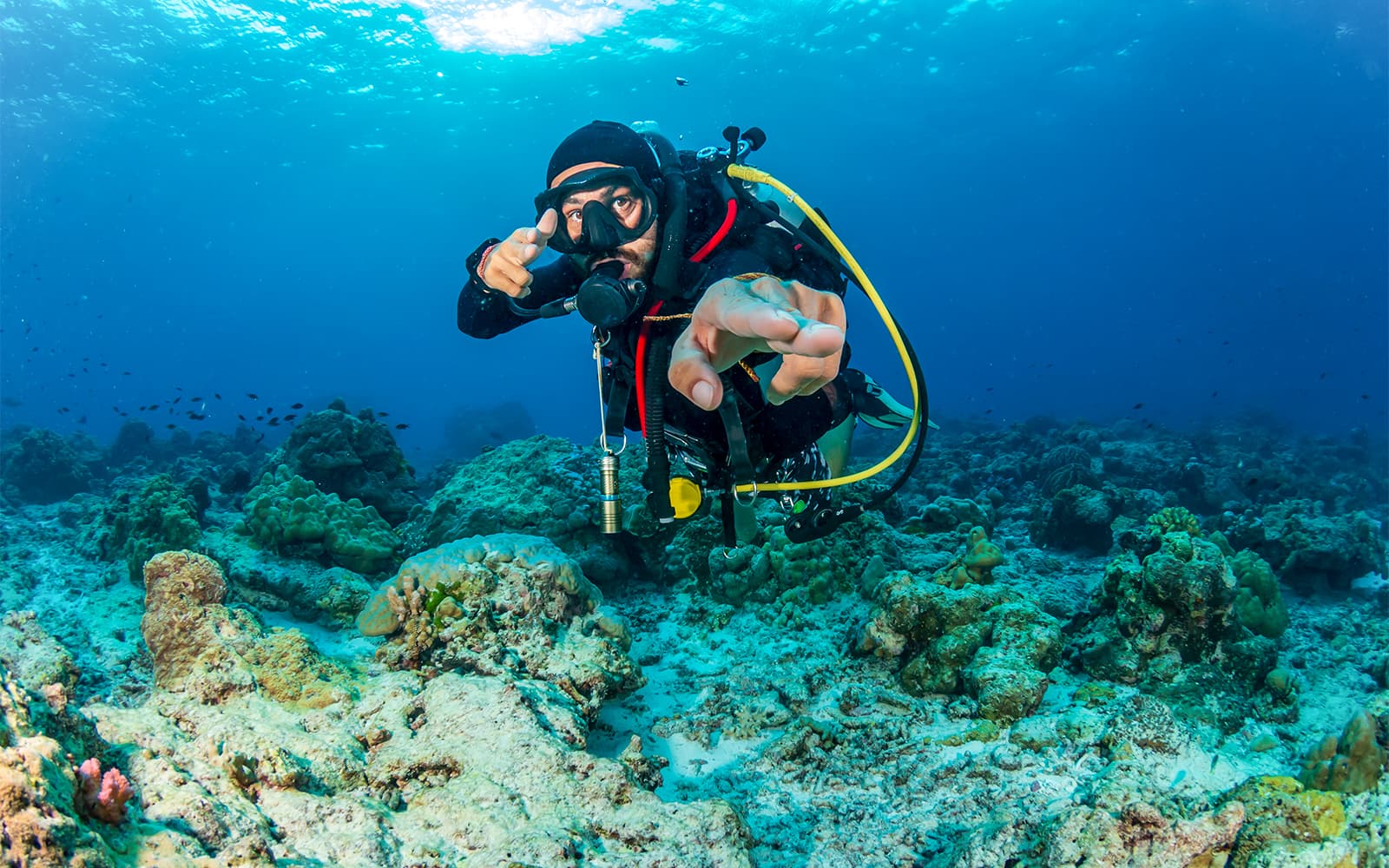 Moreton Island: Tangalooma Scuba Diving Tour