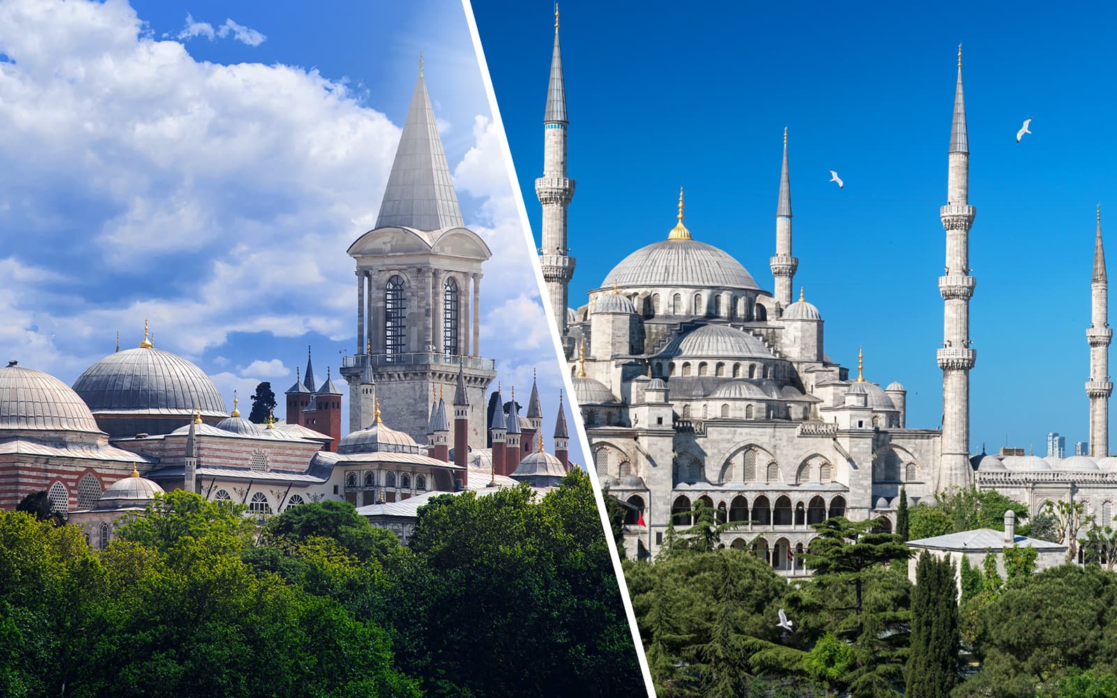 Combo: Topkapi Palace + Blue Mosque Guided Tours with Skip-the-Line Tickets
