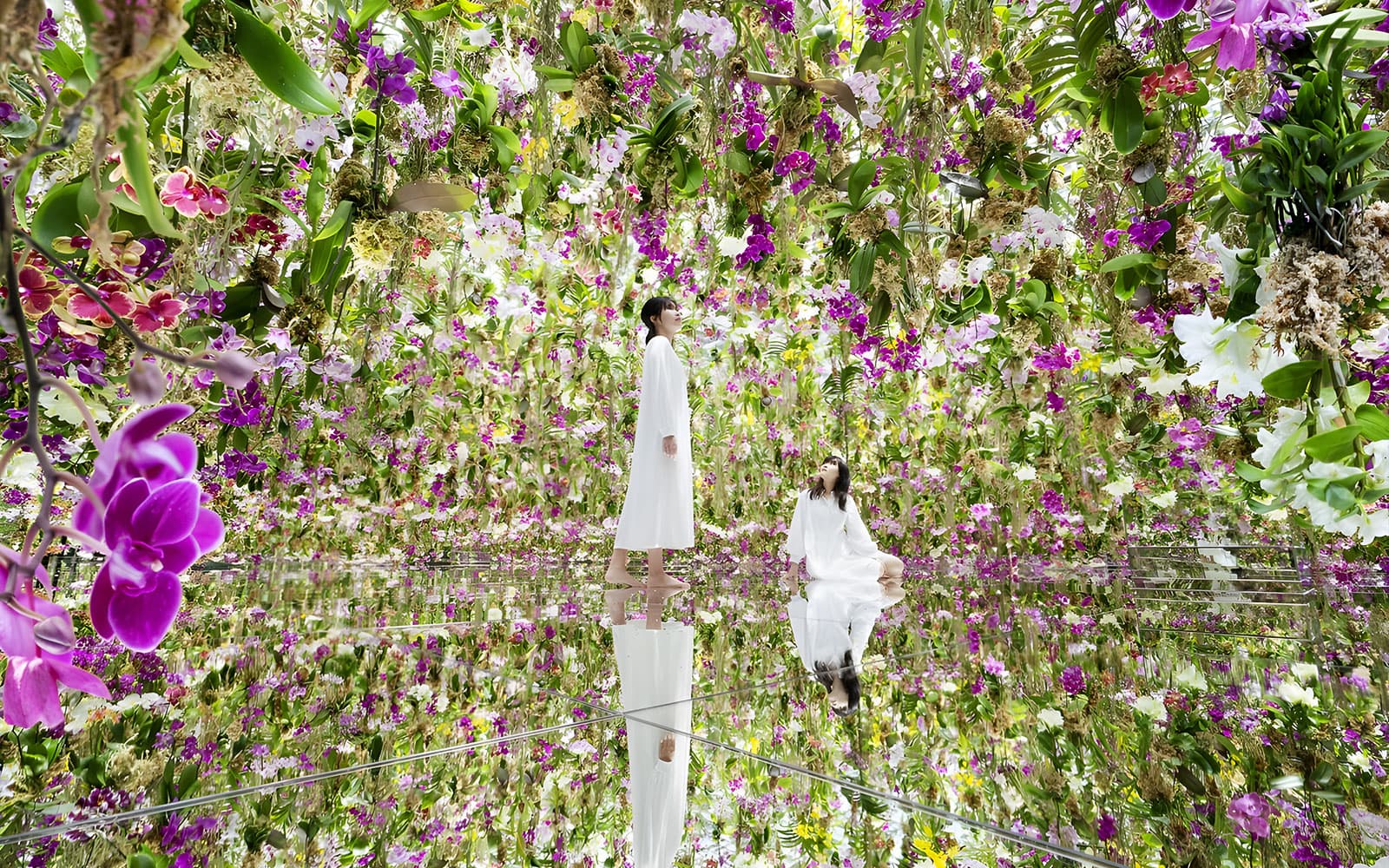 Tokyo City Pass: Free Entry to teamLab Planets & 4 Top Landmarks