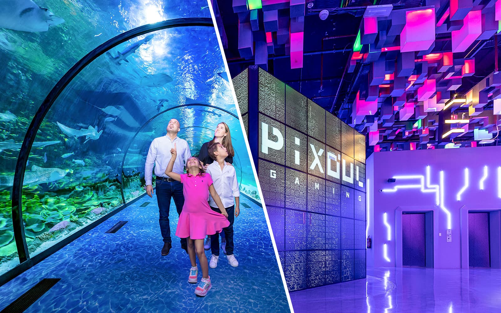 Combo: National Aquarium Abu Dhabi + Al Qana Attractions