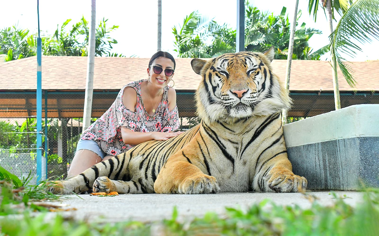 Tiger Park Tickets with Tiger Interactions