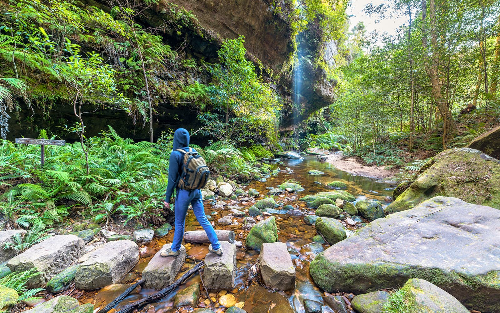 Blue Mountains Adventure Tour: Scenic World, Sydney Zoo, Koala Photo & Harbour Ferry Return