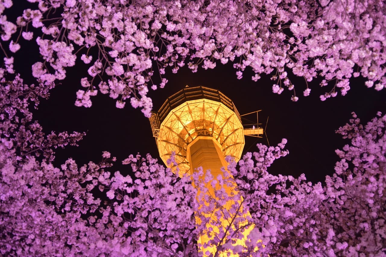 Daegu, South Korea