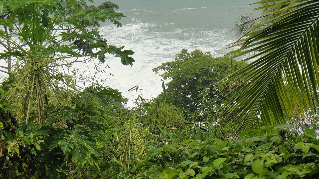 Limon, Costa Rica
