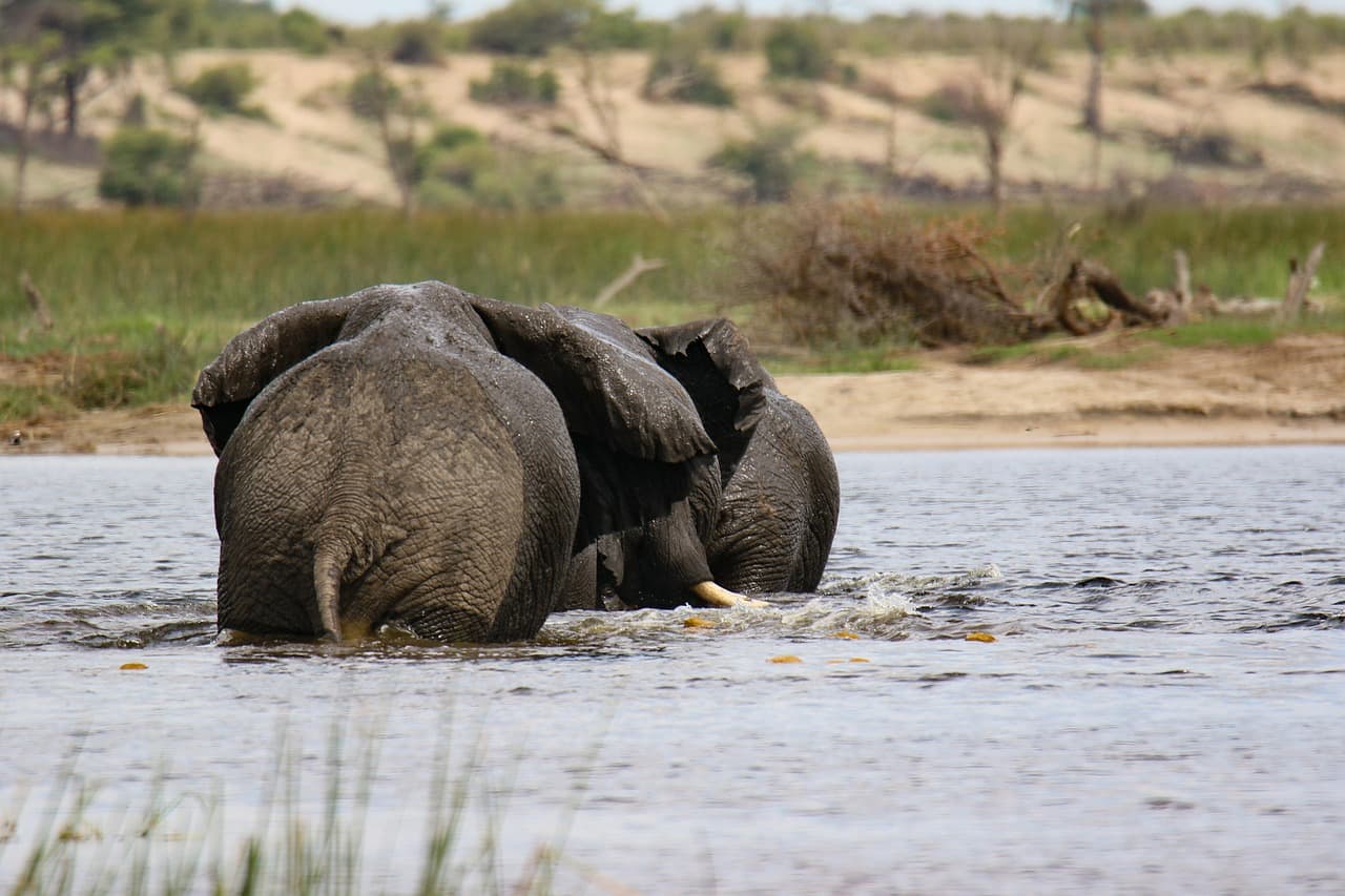 Maun, Botswana