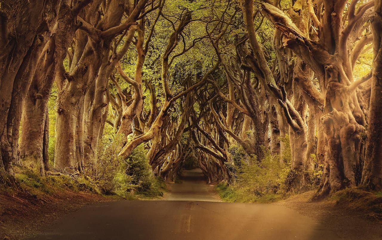 Newry, Northern Ireland