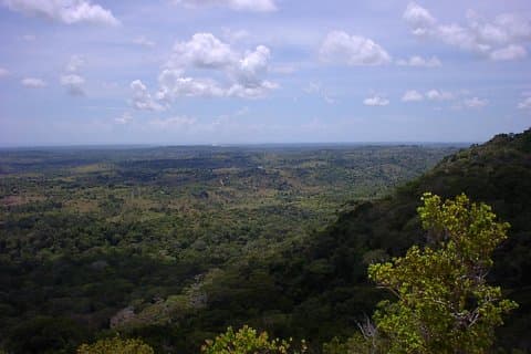 Mombasa Day Trip: Shimba Hills National Reserve Safari and Hike