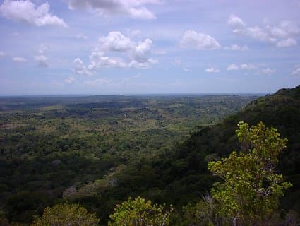 Small-Group Tour: Shimba Hills National Park from Diani Beach