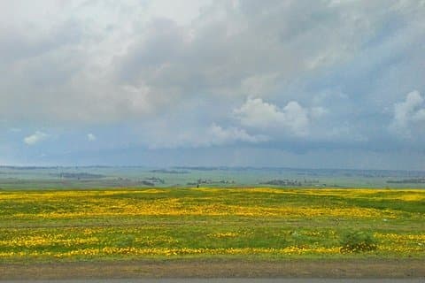 Verken de Ethiopische Rift Valley-meren en de UNESCO-site van Steles of Tiya