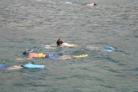 Excursion sur le rivage de Montego Bay: excursion privée en apnée