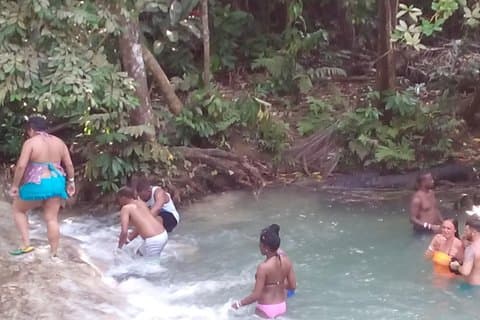Montego Bay Landausflug: Private Custom Sightseeing Tour