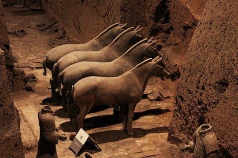 Visite d'une journée des guerriers en terre cuite personnalisée de Xian avec tracas