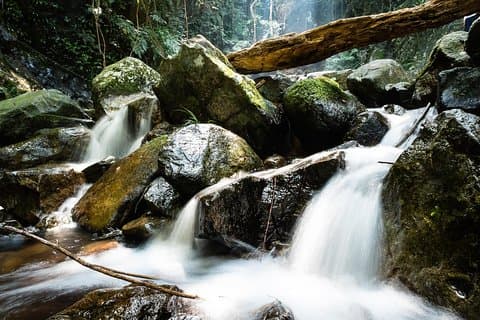 大帽山の滝を訪れる冒険ハイキングツアー