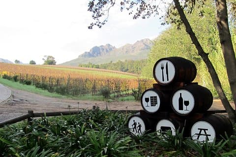 Vine Hopper: Hop-On Hop-Off Wine Tour - Southern Route