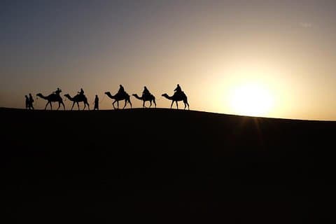 Privat tur till Giza pyramiderna och Sphinx inklusive soluppgång kamel rida