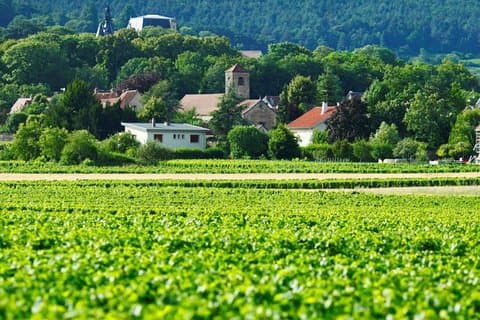 Tour privado de 2 días a Borgoña desde París