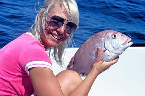 Halvdag Reef Fiske fra Vilamoura