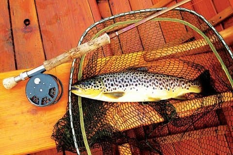 Fluefiske etter vill ørret på Lough Corrib. Galway. Menig Ghillie.
