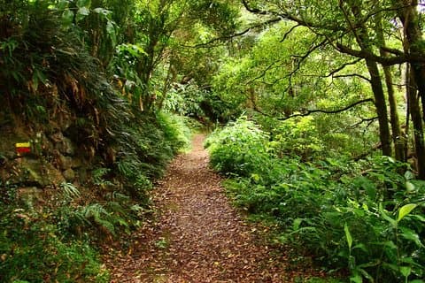 Caminhada em Sanguinho saindo de Ponta Delgada