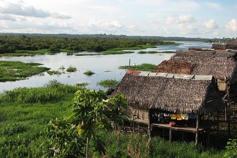3-Day Amazon Jungle Adventure from Iquitos
