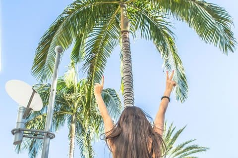 LA Tour: Downtown, Hollywood, Rodeo Drive, Farmer's Market