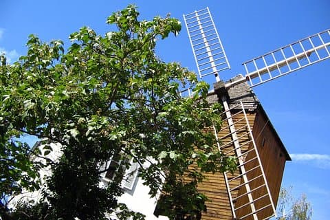 Tour a pie privado de Montmartre