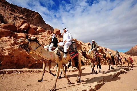 Camel Safari from Dahab 3 Days 2 Nights