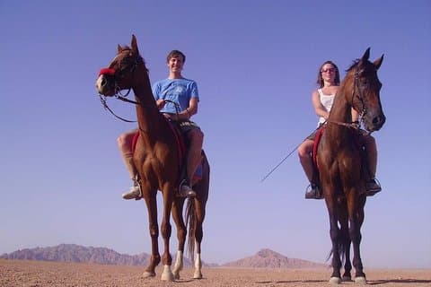 Horse Riding in Dahab