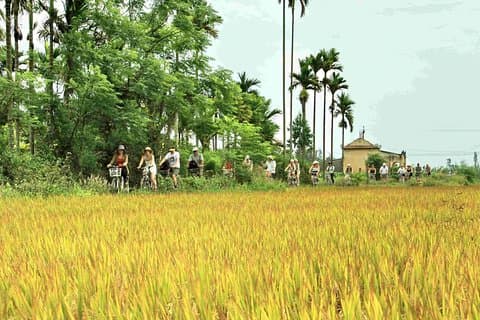 Hoi An Countryside fietstocht naar Kim Bong dorp
