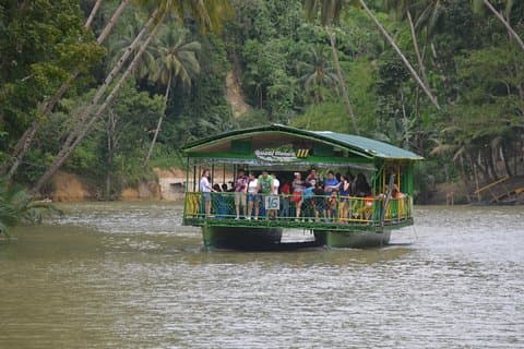 Bohol Island Countryside Tour with Buffet Lunch River Cruise (Cebu or Bohol)