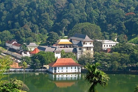Tour de día completo de Kandy Highlights