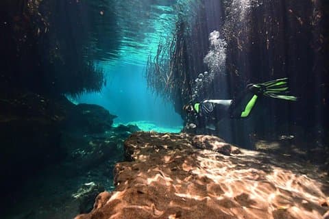 Entdecke das Tauchen in Tulum