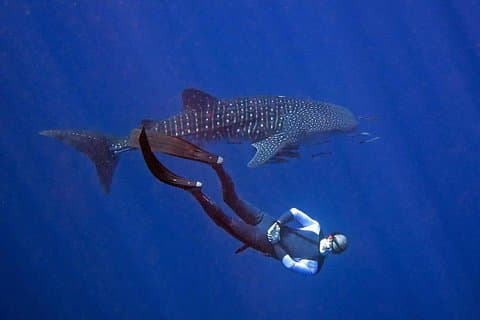 Koh Chang Freedive Trip ( Start at Koh Chang)