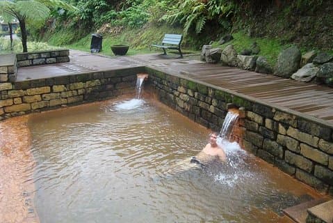 Tour to Furnas and Terra Nostra Garden - full day