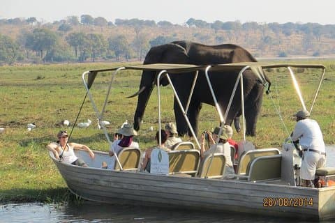 Gita di un giorno a Chobe da Victoria Falls Zimbabwe