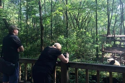 Private Day Tour: Besøg Giant Pandas og Discover Shu Culture i Chengdu