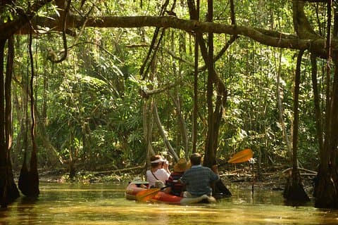 The Lost Zone and Old Town from Khao Lak