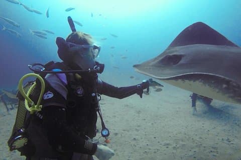 SSI Specialisatiecursus Visidentificatie in Tenerife