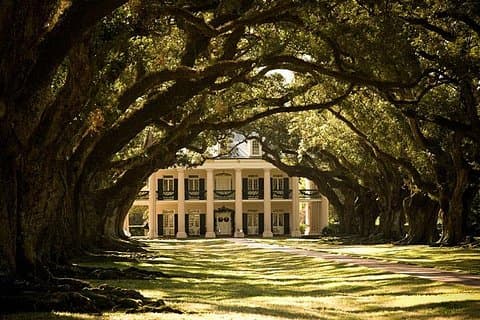 Oak Alley Plantation och liten flygbåt Tour från New Orleans