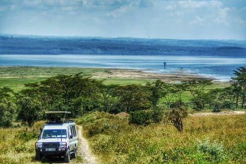 Giornata intera sul lago Nakuru Park e giro in barca opzionale sul lago Naivasha