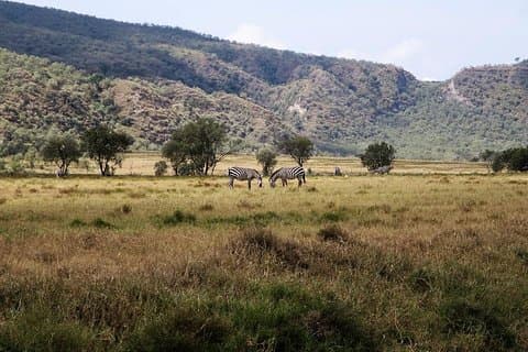 Private Tageswanderung zum Mount Longonot von Nairobi