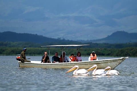 Passeio de dia pelo Lago Naivasha incluindo a ilha crescente