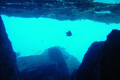 Full Day Similans Scuba Diving fra Phuket
