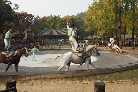 UNESCO-Weltkulturerbe - Suwon Hwaseong Fortress Privater Tagesausflug