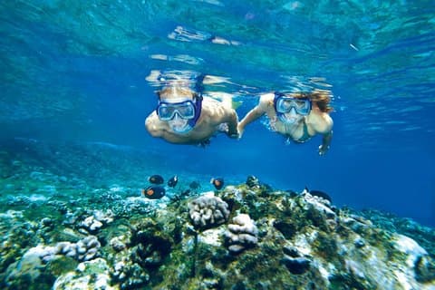 Molokini et Turtle Arches Snorkeling Trip au départ du port de Ma'alaea