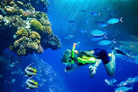 Montre Lanai avec tuba et dauphin de Maui