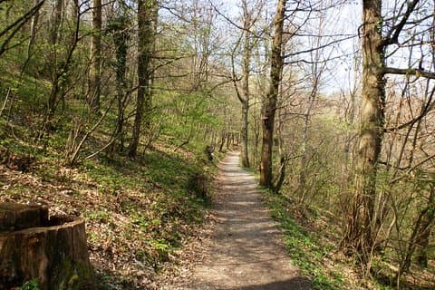 Medvednica Wander- und Kastanienpflückungs-Tour von Zagreb
